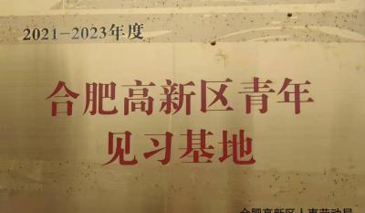 合肥尊龙凯时-人生就是博获批建立合肥高新区青年见习基地